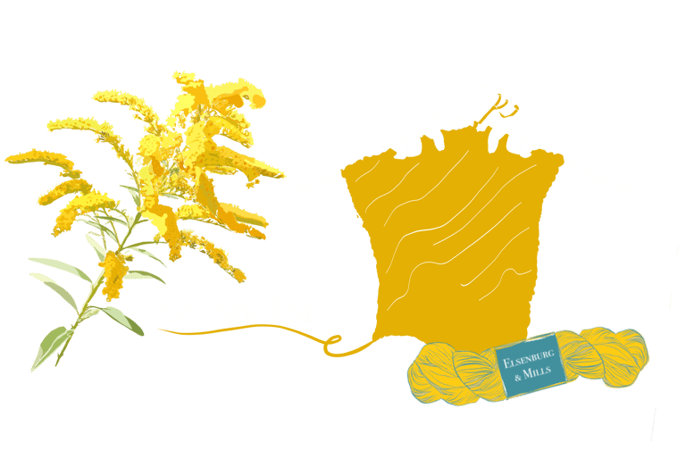 illustration of Golden Rod plant; a dye plant we use for our yarn