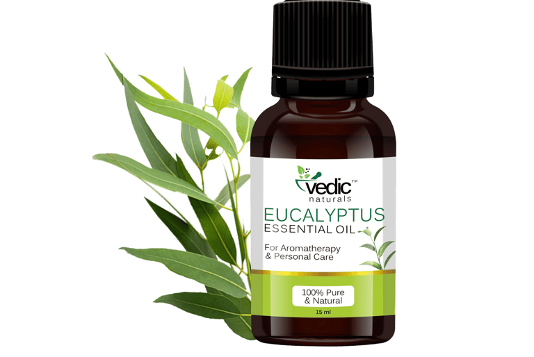Green Eucalyptus leaves next to eucalyptus essential oil bottle, vedic medicine