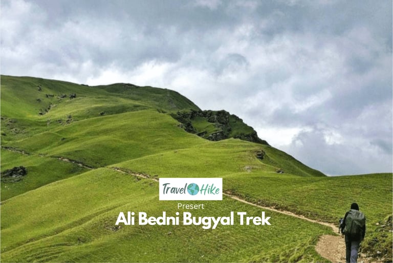 Trekkers scaling the lush trails of the Himalayas.