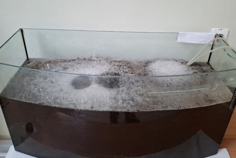 Alkvariumas su realiomis nuotekomis ir su veikiančiu Biocleaner reaktoriumi 