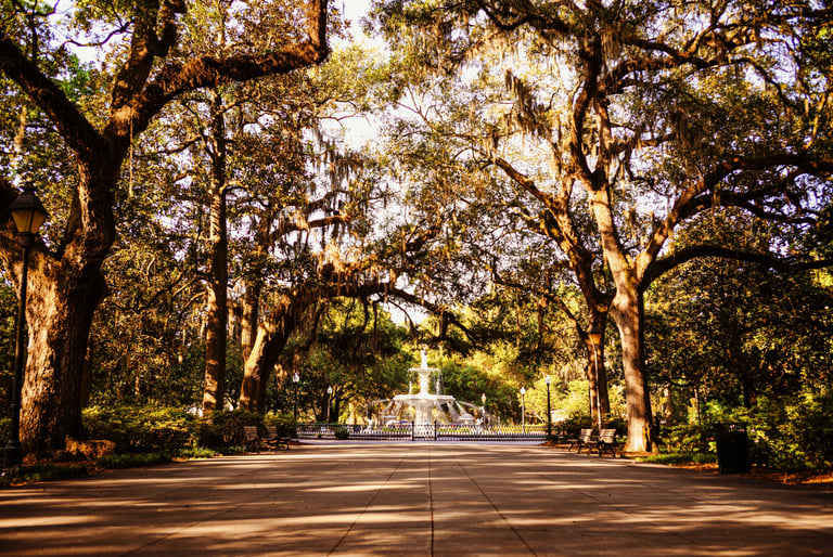 Forsyth Park