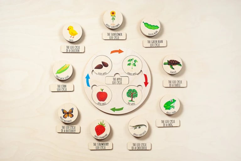 a clock with a variety of different types of food