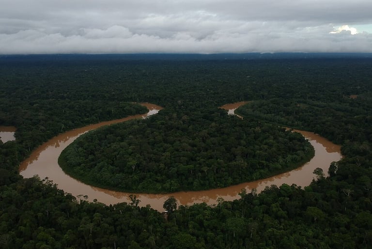 a river flowing through a forest with a river running through it