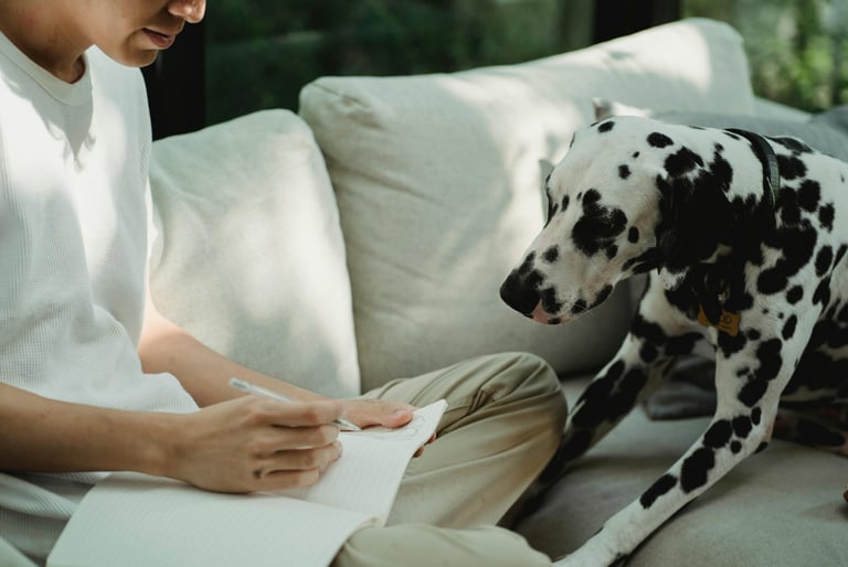 Benefici del Journaling. Che cos'è e a cosa serve.