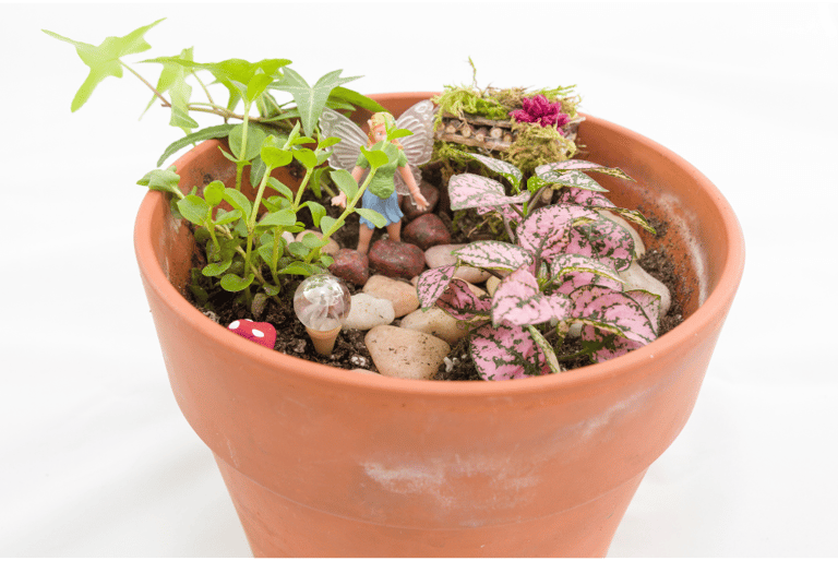Mini fairy garden fairy themed party favor
