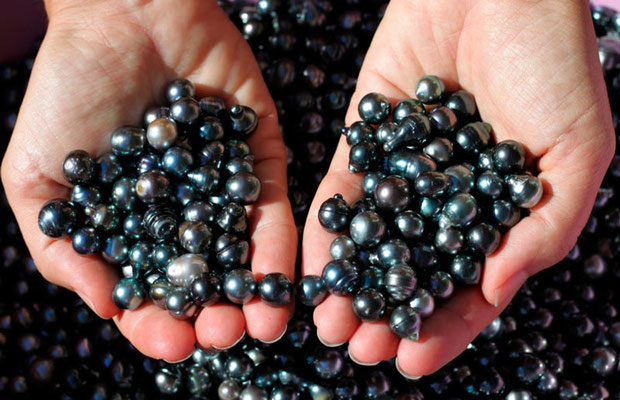 a person holding a bunch of pearls in their hands