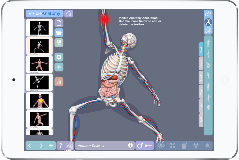 Ipad Anatomy App