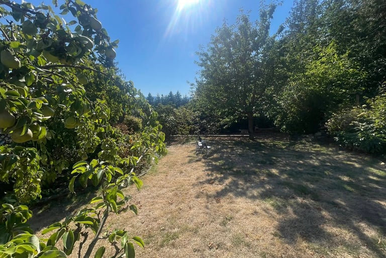 Wonder Island Childcare - Private Yard