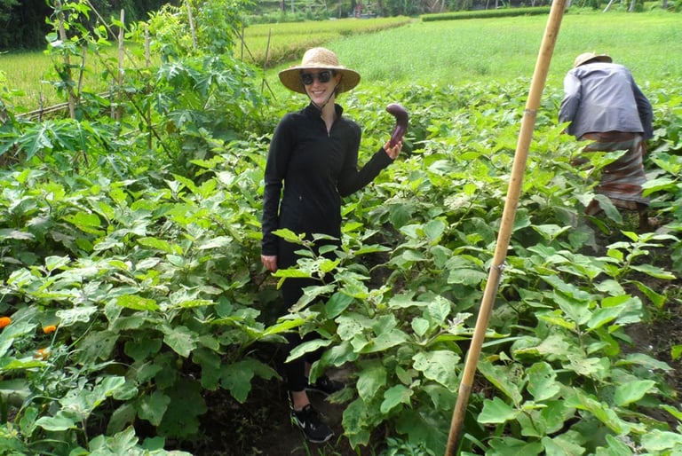 Bali Organic Farming