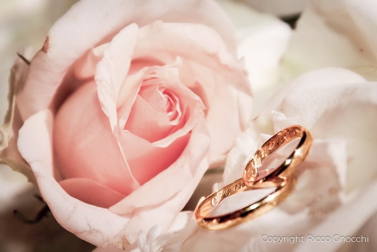 Fotografia afetiva para casamentos pequenos 