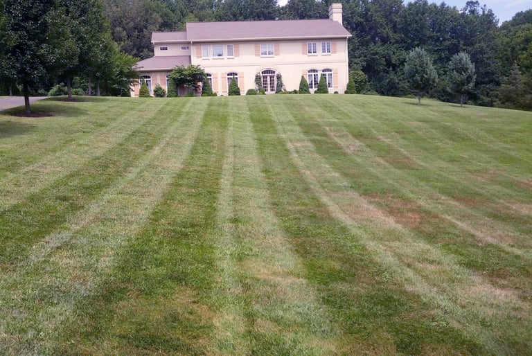 T&L Lawn Care, Grass Cutting Striping