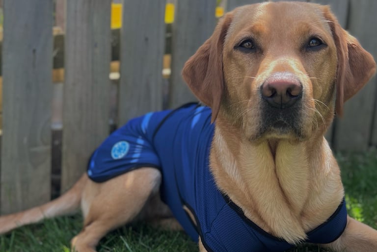 Ancol Dog colling coats