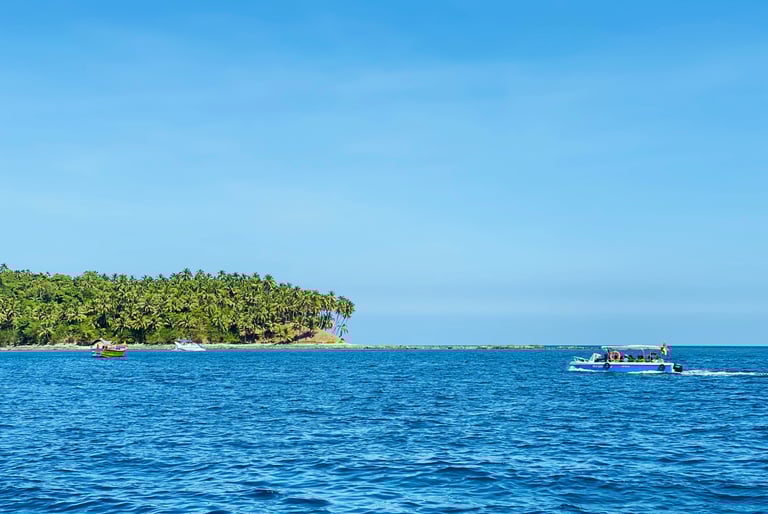 deatils about long island by overhaul