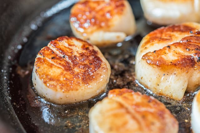 pan seared scallops