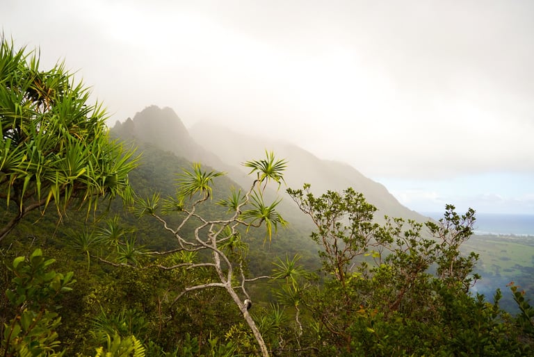 Europe elopement Photographer