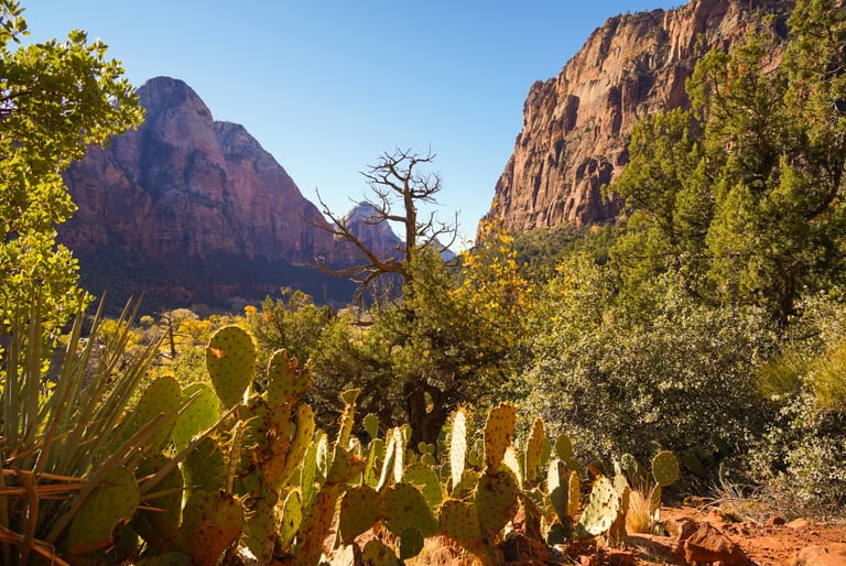 getting married while traveling