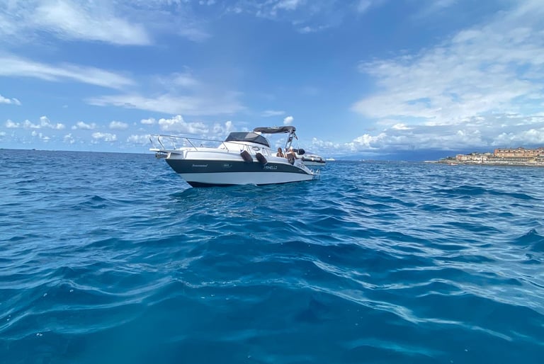 Private boat experience along the Ligurian Riviera