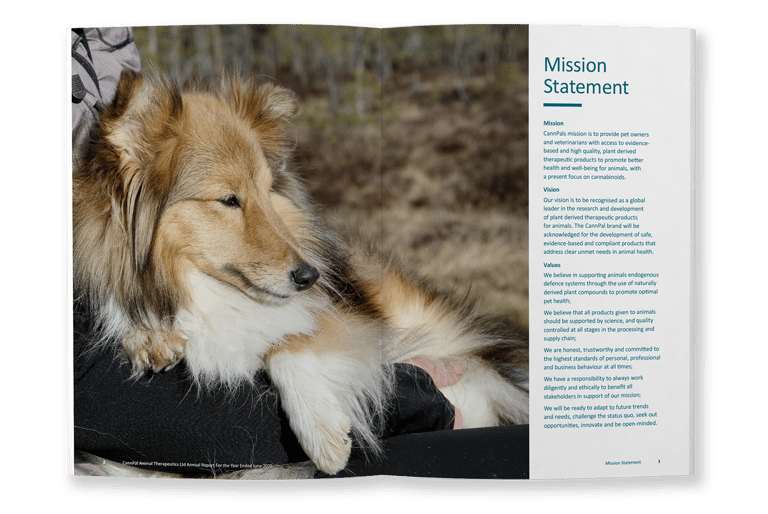 CannPal Annual Report, typesetting by Michelle Pirovich, Squeezebox