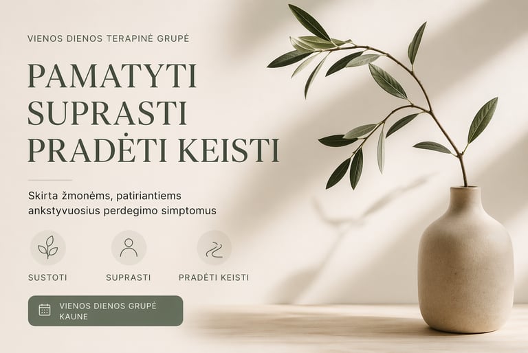 Vienos dienos perdegimo terapinės grupės vizualas – minimalistinis ramus fonas su tekstu „Pamatyti, 