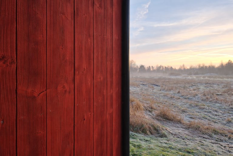 Peinture naturelle mate sur bois avec nœuds apparents et rendu authentique