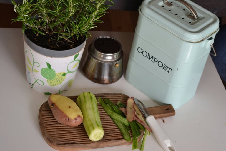 Kitchen composter. Budget-friendly gardening