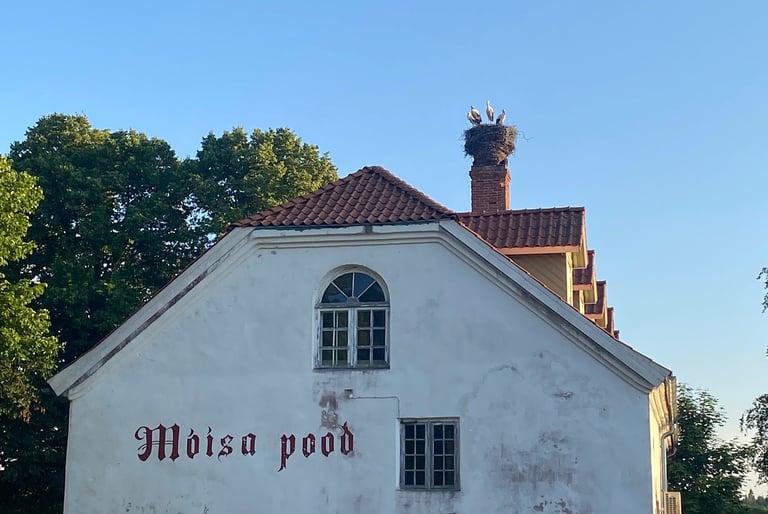 Storks in a nest on the roof of an old house - Estonia