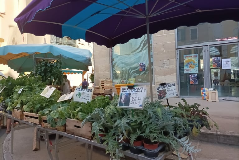 The plant stall