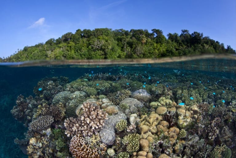 Marovo Lagoon Solomon Islands