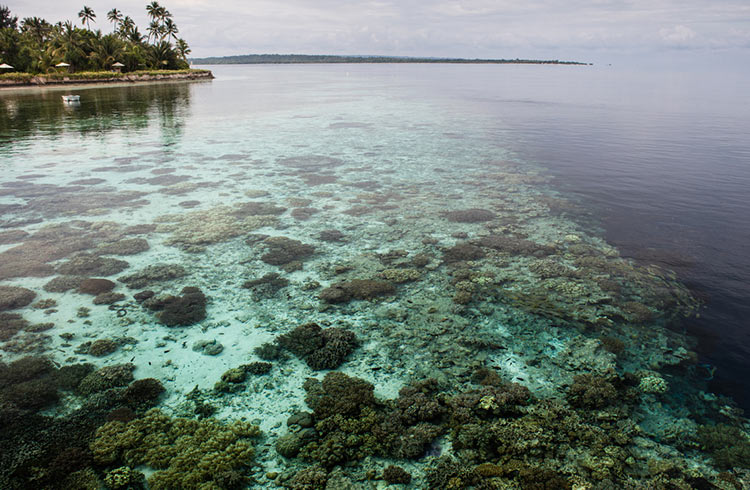 sulawesi sailing adventure