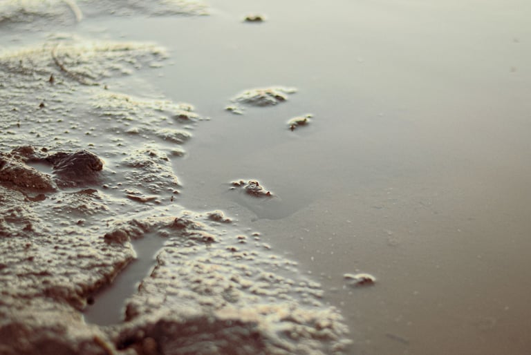 fotografia de albúfera y agua. Mar chiquita