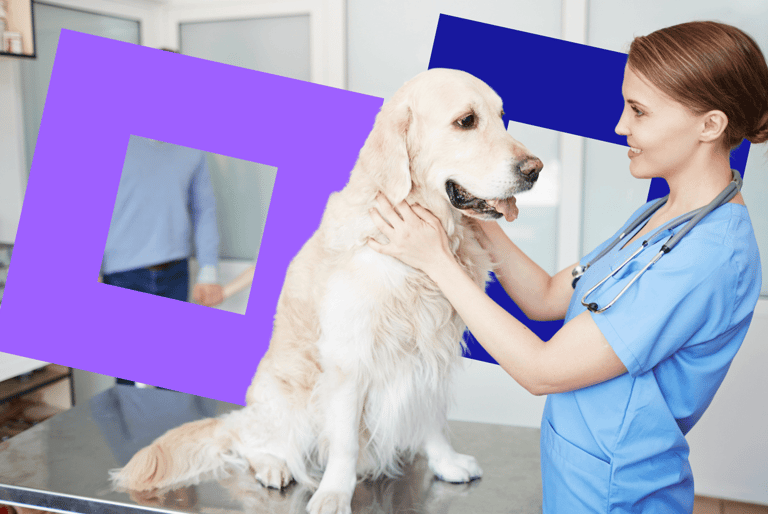 Veterinary Energy Broker