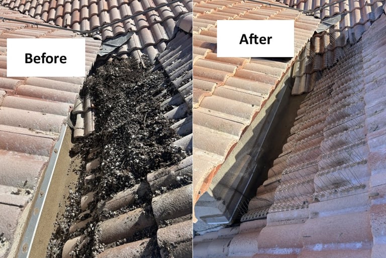 bird droppings cleanup on roof with bird spike and exclusion mesh installed in phoenix arizona