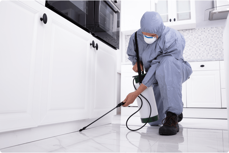 pest control services in hampton roads