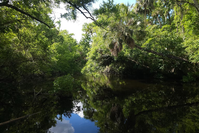 Lake George Florida
