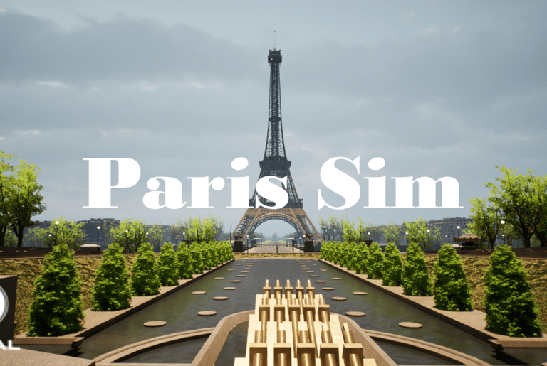 Video game Paris sim