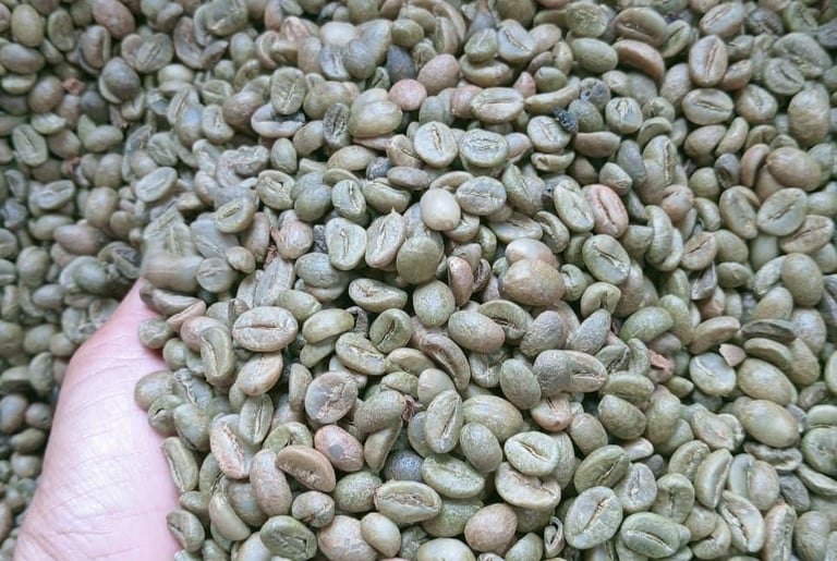 Green Bean Temanggung