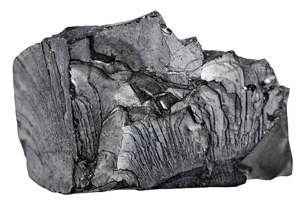 shungite