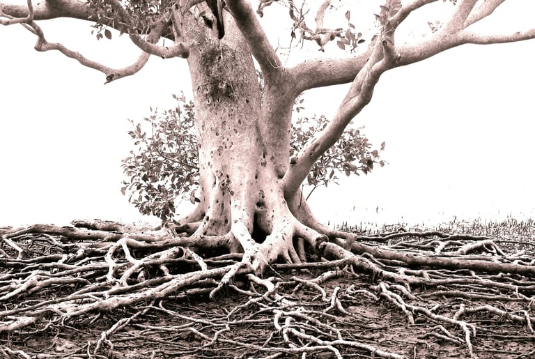 tree and roots