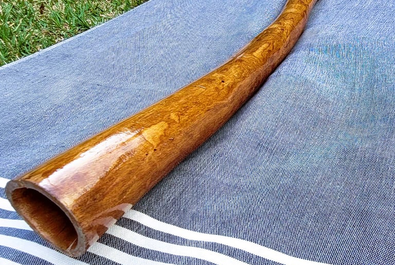 didgeridoo eucalyptus