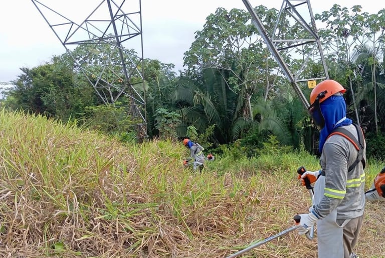 Roçadeira Costal em  linha de transmissão