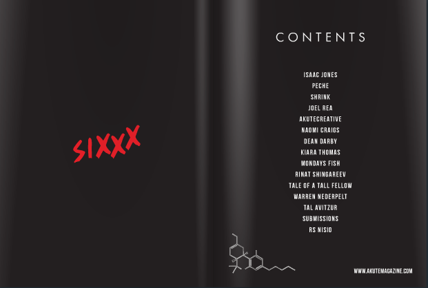 Akute Magazine, Issue Sixxx, December 2013, Table of Contents