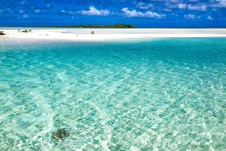Floating Pools and Docks