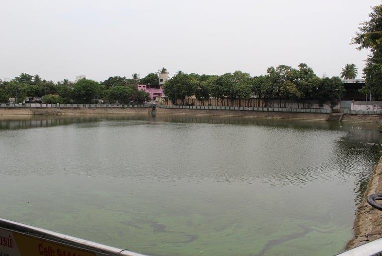 Nanganallur Temple Pond Walking Track