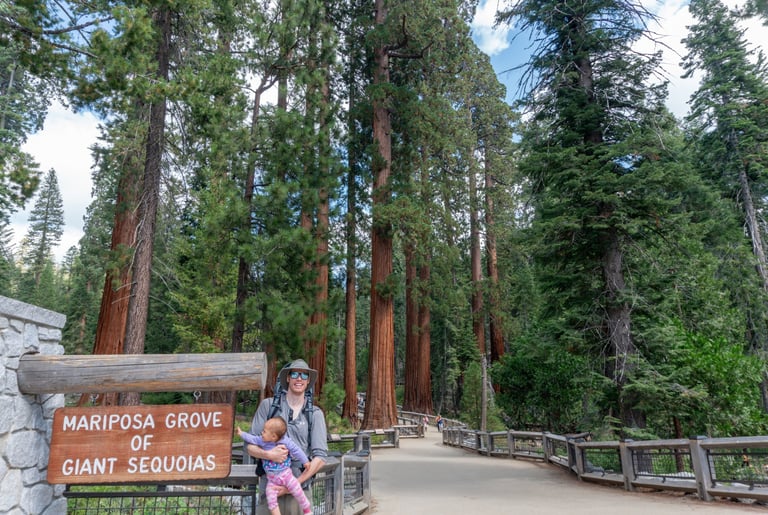 Mariposa Grove Big Trees Loop Trailhead