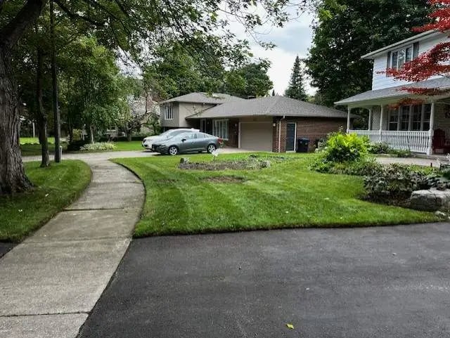 freshly mowed, trimmed & edged lawn