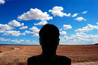 ALM MAITRISE D'OEUVRE