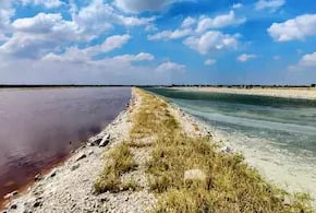 India's largest lake, Sambhar salt lake, Rajasthan.