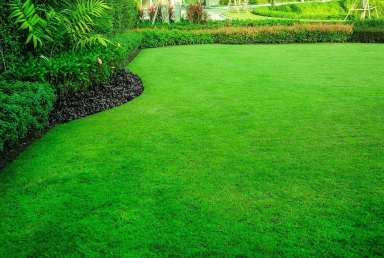 Lawn Care