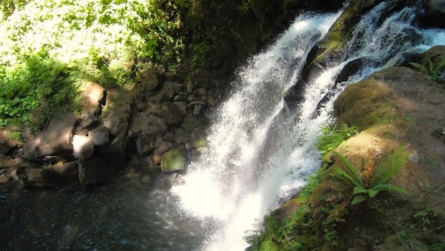 Eugene, OR - Majestic Falls at the bottom to view the 40 foot falls