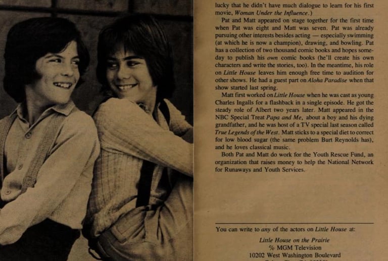 TV82 book about Matthew & Patrick Labyorteaux